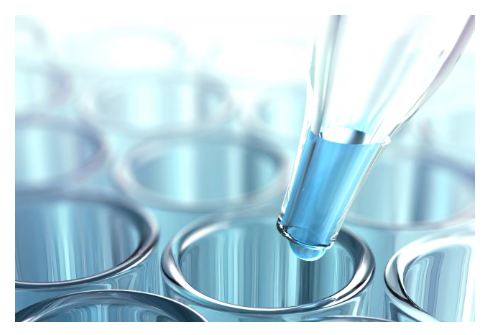 In Vitro ADME Analysis