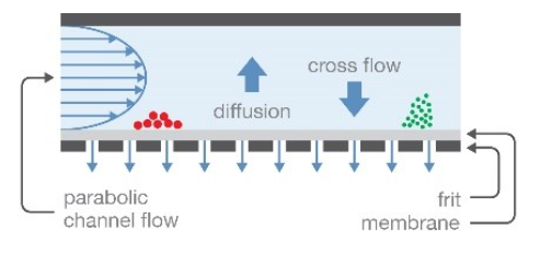 Aggregates, large viruses, and mRNA