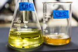Potency Testing and Cannabinoid Profiling