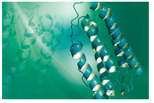 Large Molecule Bioanalysis
