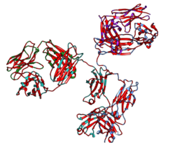Biotherapeutics