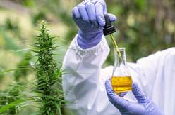 Residual Solvents Testing