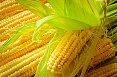 Pesticides and Herbicides