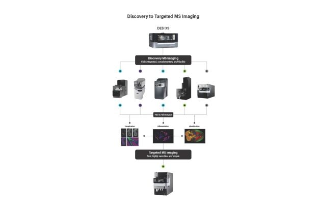 Mass Spectrometry Imaging (MSI)