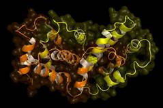 Proteomics
