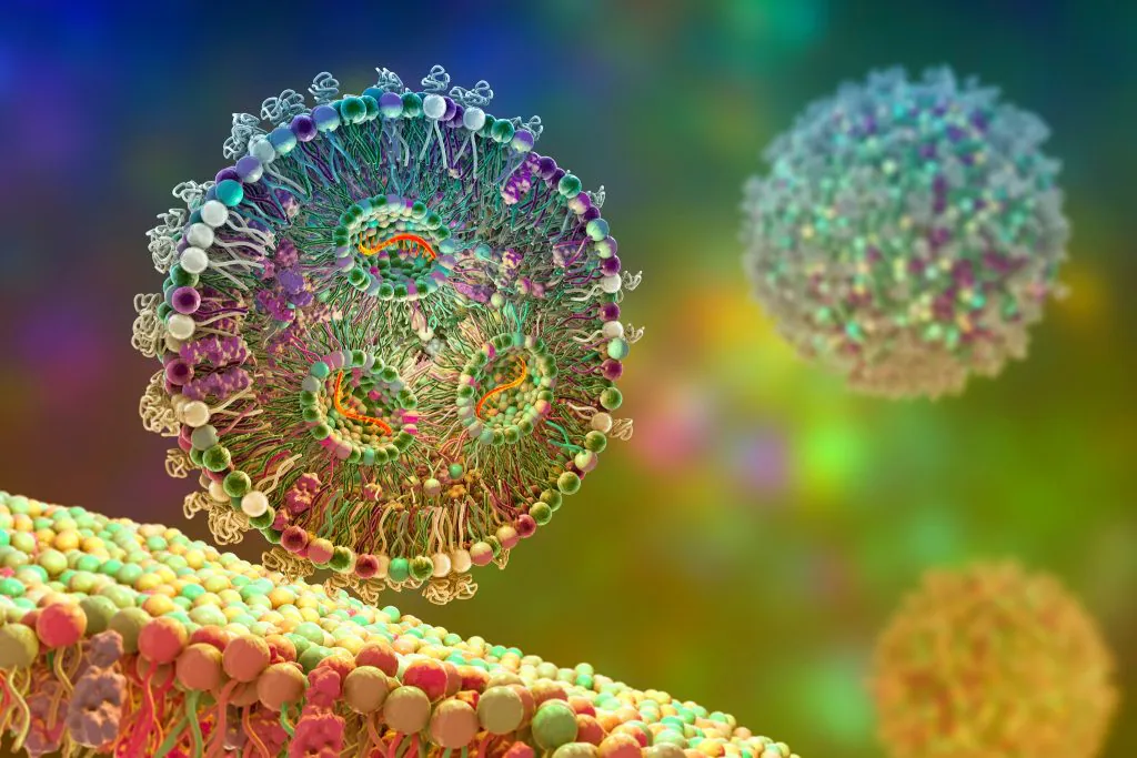 Lipid Nanoparticle Solutions