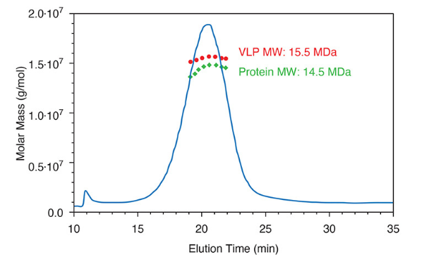 Virus-like particles (VLPs)