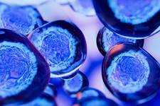 Cell and Gene Therapies