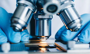 Research and Discovery
