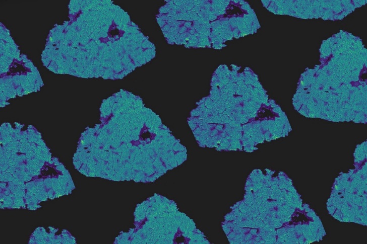 Mass Spectrometry Imaging Solutions